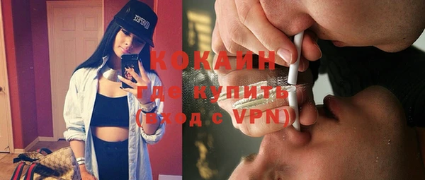 ГАЛЛЮЦИНОГЕННЫЕ ГРИБЫ Рославль