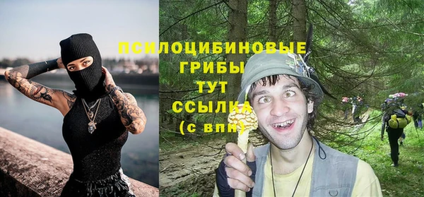 гидра Алексин