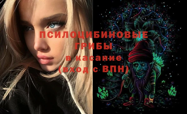 гидра Алексин