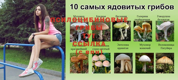 молекула духа Ростов