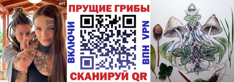 Галлюциногенные грибы MAGIC MUSHROOMS  hydra как войти  Приморск 